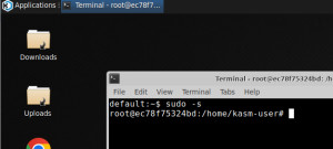 Preview Virtueller Desktop in Docker + Internet Browserzugriff