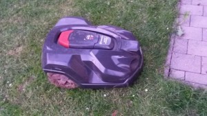 Preview Home Assistant: Steckdosen steuert Rasenmähroboter